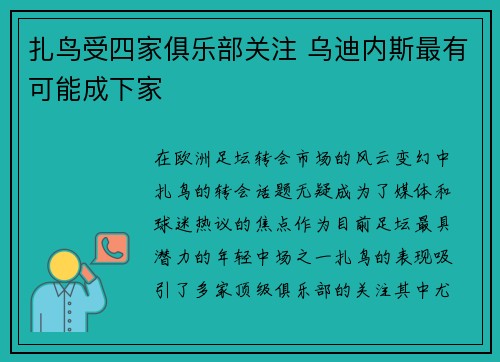 扎鸟受四家俱乐部关注 乌迪内斯最有可能成下家