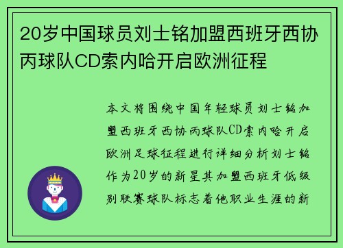 20岁中国球员刘士铭加盟西班牙西协丙球队CD索内哈开启欧洲征程
